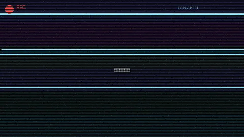 周末随拍记录 - 武滕兰 原创视频